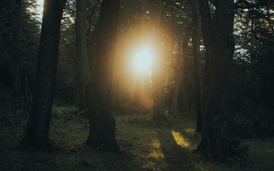 A person taking a deep breath in a quiet, serene environment.